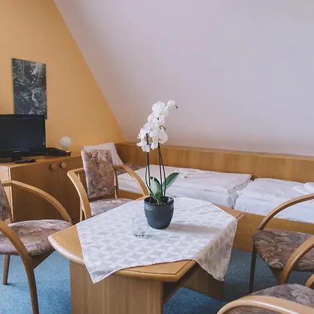 Vydra Hotel 3*