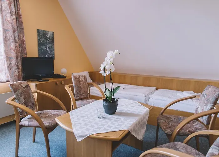 Vydra Hotel 3*